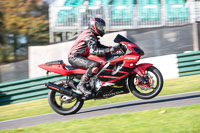Lower Group Red Bikes
